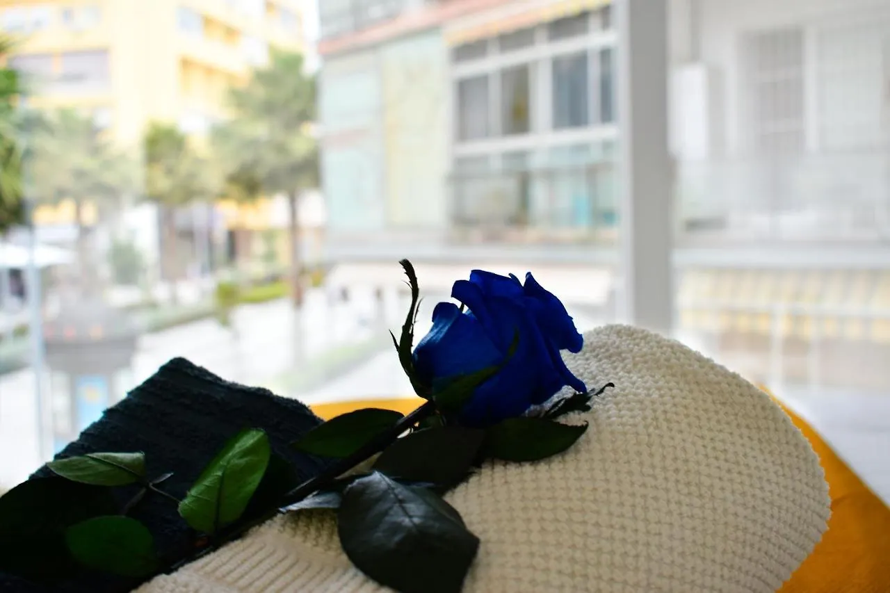 Paris Fashion - Torremolinos Apartment